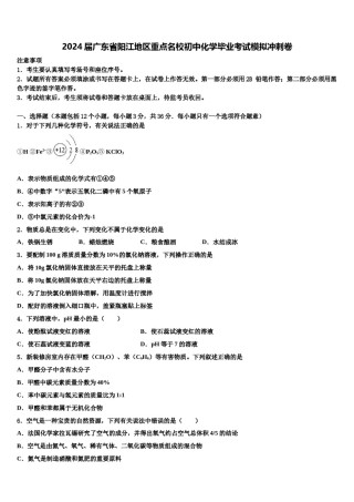 2024届广东省阳江地区重点名校初中化学毕业考试模拟冲刺卷含解析.doc