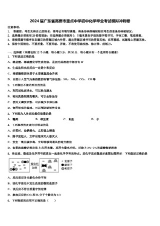 2024届广东省高要市重点中学初中化学毕业考试模拟冲刺卷含解析.doc