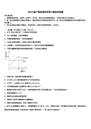 2024届广西北海市中考二模化学试题含解析.doc