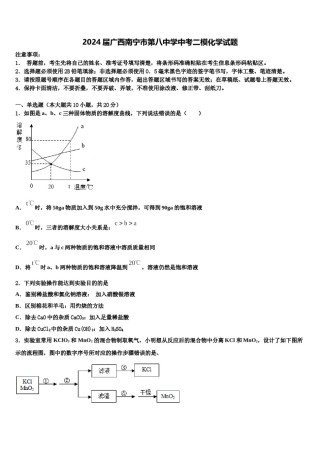 2024届广西南宁市第八中学中考二模化学试题含解析.doc