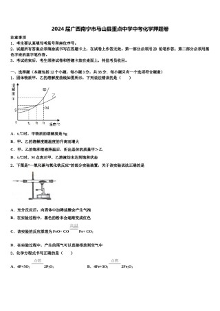 2024届广西南宁市马山县重点中学中考化学押题卷含解析.doc