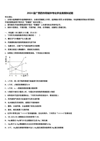 2024届广西四市同城中考化学全真模拟试题含解析.doc