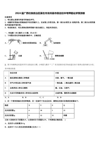 2024届广西壮族自治区崇左市龙州县市级名校中考押题化学预测卷含解析.doc