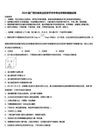 2024届广西壮族自治区桂平市中考化学模拟精编试卷含解析.doc