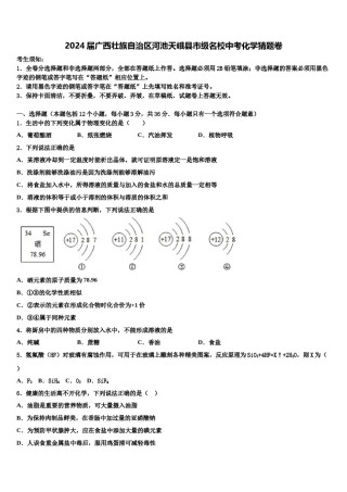 2024届广西壮族自治区河池天峨县市级名校中考化学猜题卷含解析.doc