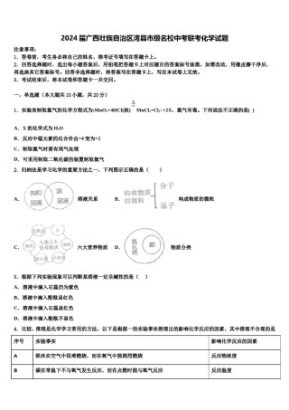 2024届广西壮族自治区湾县市级名校中考联考化学试题含解析.doc