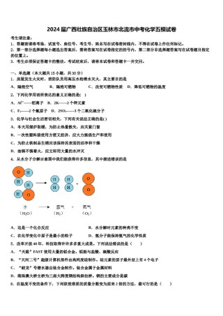 2024届广西壮族自治区玉林市北流市中考化学五模试卷含解析.doc