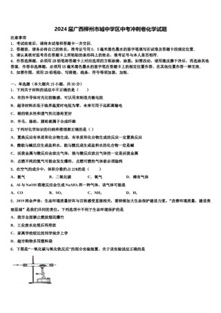 2024届广西柳州市城中学区中考冲刺卷化学试题含解析.doc