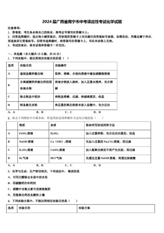 2024届广西省南宁市中考适应性考试化学试题含解析.doc