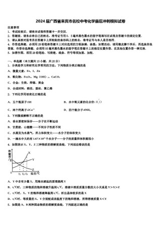 2024届广西省来宾市名校中考化学最后冲刺模拟试卷含解析.doc