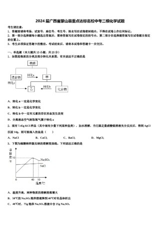 2024届广西省蒙山县重点达标名校中考二模化学试题含解析.doc