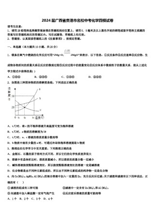 2024届广西省贵港市名校中考化学四模试卷含解析.doc