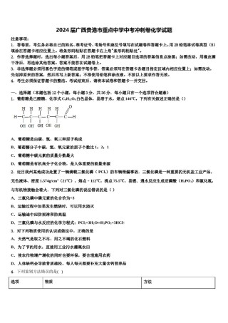 2024届广西贵港市重点中学中考冲刺卷化学试题含解析.doc