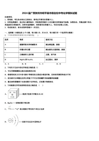 2024届广西贺州市昭平县市级名校中考化学模拟试题含解析.doc