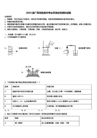 2024届广西龙胜县中考化学适应性模拟试题含解析.doc