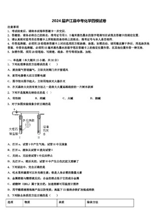 2024届庐江县中考化学四模试卷含解析.doc
