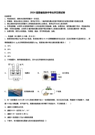 2024届徽省临泉中考化学五模试卷含解析.doc