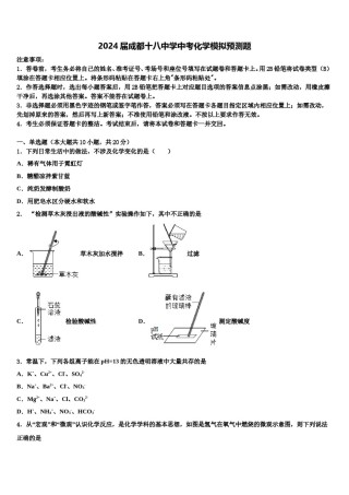 2024届成都十八中学中考化学模拟预测题含解析.doc