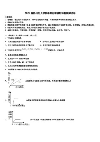 2024届扬州树人学校中考化学最后冲刺模拟试卷含解析.doc
