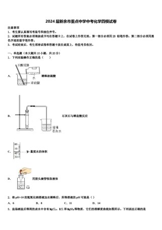 2024届新余市重点中学中考化学四模试卷含解析.doc