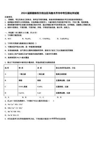 2024届新疆维吾尔自治区乌鲁木齐市中考五模化学试题含解析.doc