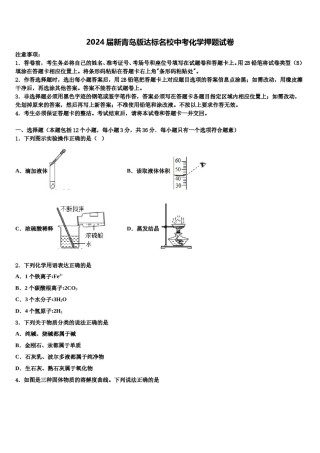 2024届新青岛版达标名校中考化学押题试卷含解析.doc