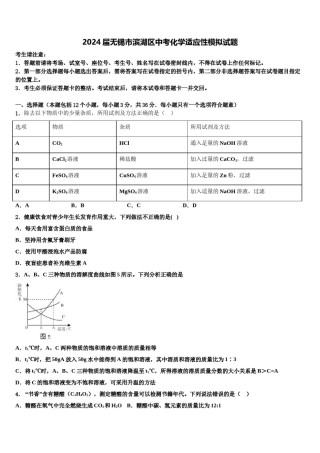 2024届无锡市滨湖区中考化学适应性模拟试题含解析.doc