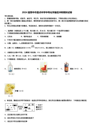 2024届晋中市重点中学中考化学最后冲刺模拟试卷含解析.doc