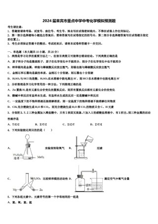 2024届来宾市重点中学中考化学模拟预测题含解析.doc