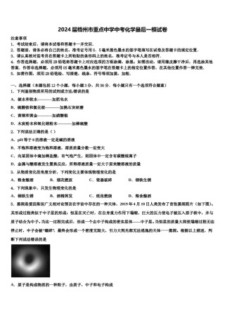 2024届梧州市重点中学中考化学最后一模试卷含解析.doc