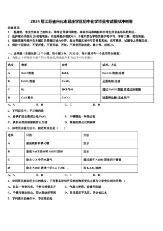2024届江苏省兴化市顾庄学区初中化学毕业考试模拟冲刺卷含解析.doc