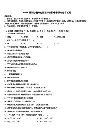 2024届江苏省兴化顾庄等三校中考联考化学试题含解析.doc