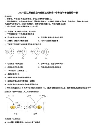 2024届江苏省南京市建邺三校联合~中考化学考前最后一卷含解析.doc