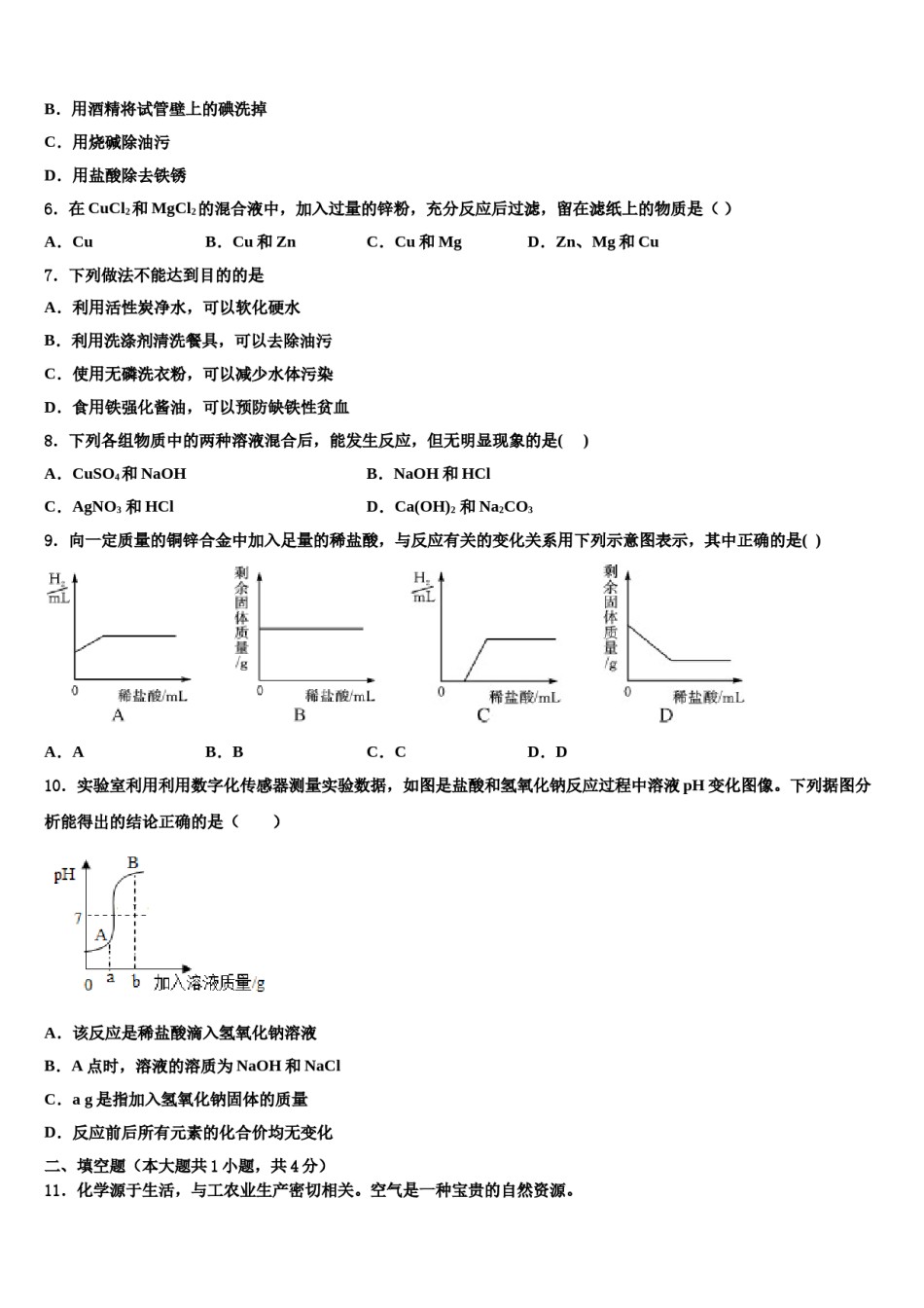 2024届江苏省南京市第一中学中考化学最后冲刺模拟试卷含解析.doc_第2页
