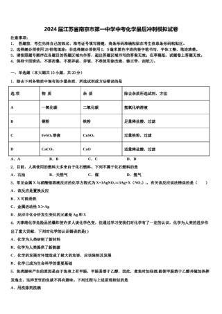 2024届江苏省南京市第一中学中考化学最后冲刺模拟试卷含解析.doc