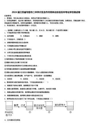 2024届江苏省句容市二中学片区合作共同体达标名校中考化学仿真试卷含解析.doc