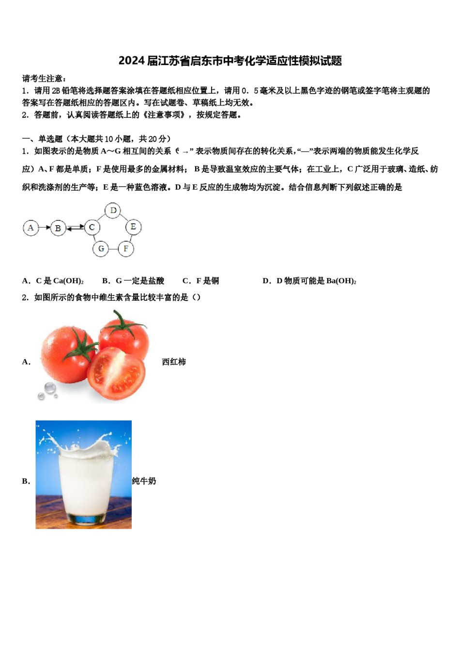 2024届江苏省启东市中考化学适应性模拟试题含解析.doc_第1页