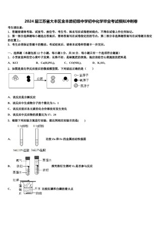 2024届江苏省大丰区金丰路初级中学初中化学毕业考试模拟冲刺卷含解析.doc