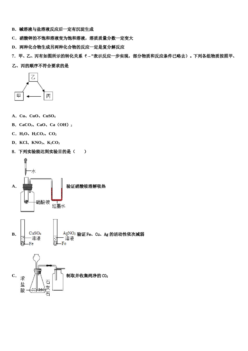 2024届江苏省如皋市常青初级中学中考联考化学试卷含解析.doc_第2页