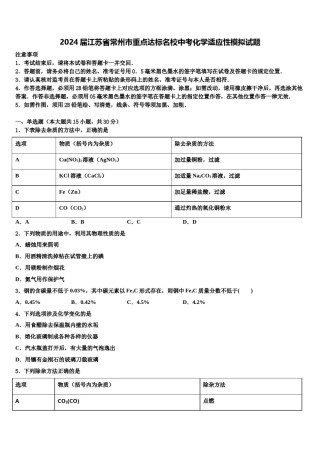 2024届江苏省常州市重点达标名校中考化学适应性模拟试题含解析.doc