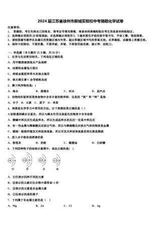 2024届江苏省徐州市新城实验校中考猜题化学试卷含解析.doc