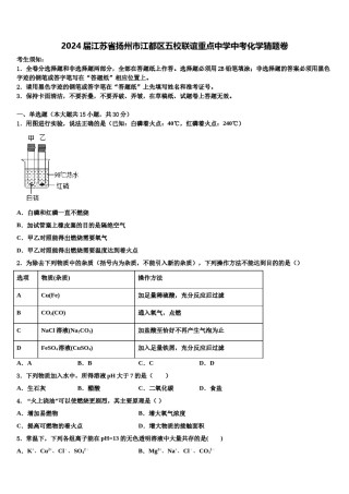 2024届江苏省扬州市江都区五校联谊重点中学中考化学猜题卷含解析.doc