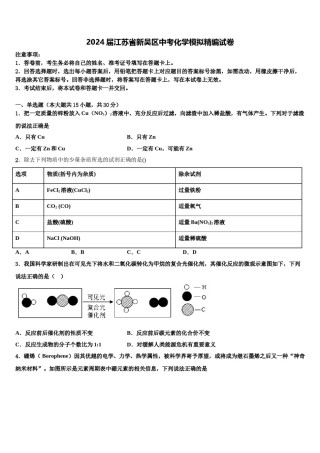 2024届江苏省新吴区中考化学模拟精编试卷含解析.doc