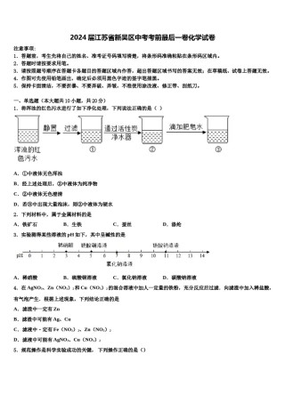 2024届江苏省新吴区中考考前最后一卷化学试卷含解析.doc