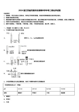 2024届江苏省无锡市东湖塘中学中考二模化学试题含解析.doc