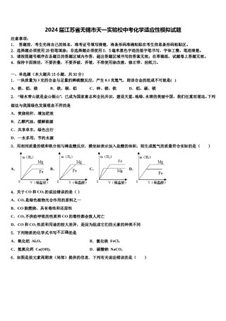 2024届江苏省无锡市天一实验校中考化学适应性模拟试题含解析.doc