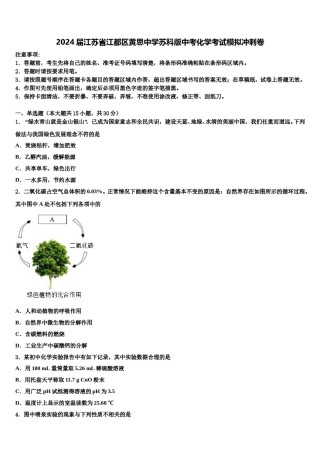 2024届江苏省江都区黄思中学苏科版中考化学考试模拟冲刺卷含解析.doc