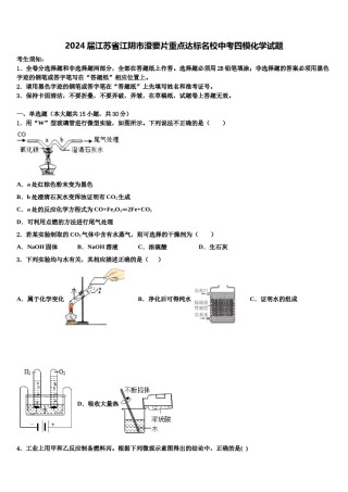 2024届江苏省江阴市澄要片重点达标名校中考四模化学试题含解析.doc
