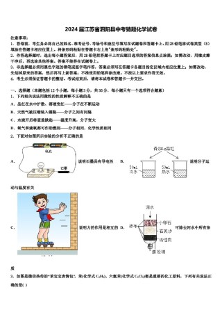 2024届江苏省泗阳县中考猜题化学试卷含解析.doc