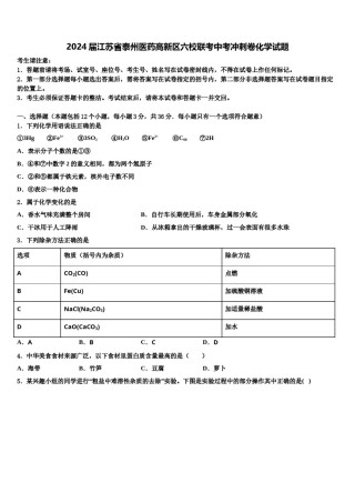 2024届江苏省泰州医药高新区六校联考中考冲刺卷化学试题含解析.doc